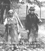 Georg Bauer u. Barbara Zeidler
beim Heumachen 1934
